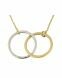 Symbol necklace 'Close bond' 14ct bicolor gold