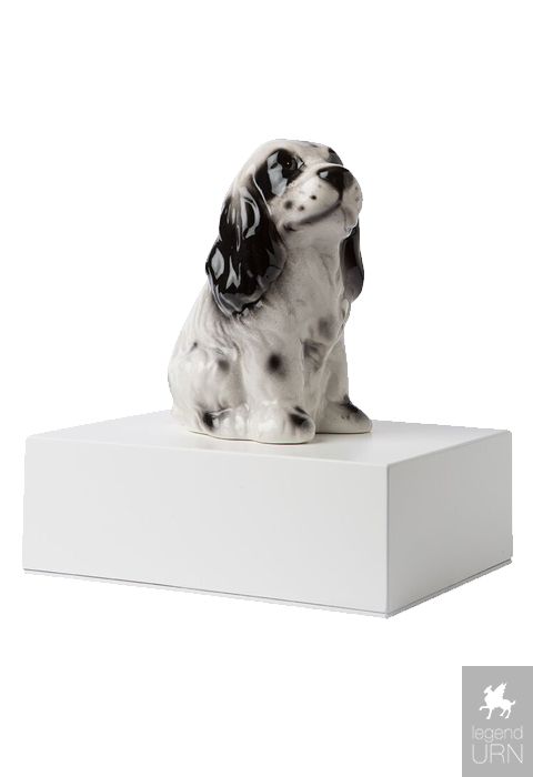 Cocker spaniel 2024 urn