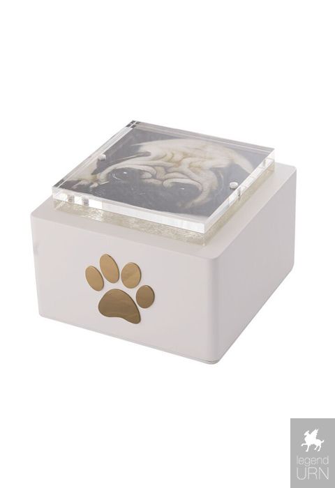 Modern pet urns shop