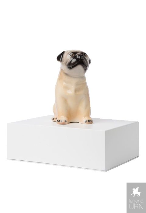Medium dog urns new arrivals