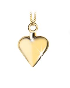 14k yellow gold ash pendant 'Heart'