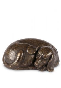 Bronze keepsake urn dog 'Rest peacefully'