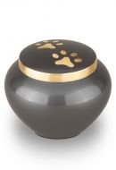 Pet cremation ashes urn 30.5 cu in