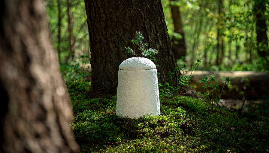 Sustainable Farewells: A New Beginning for People and Nature